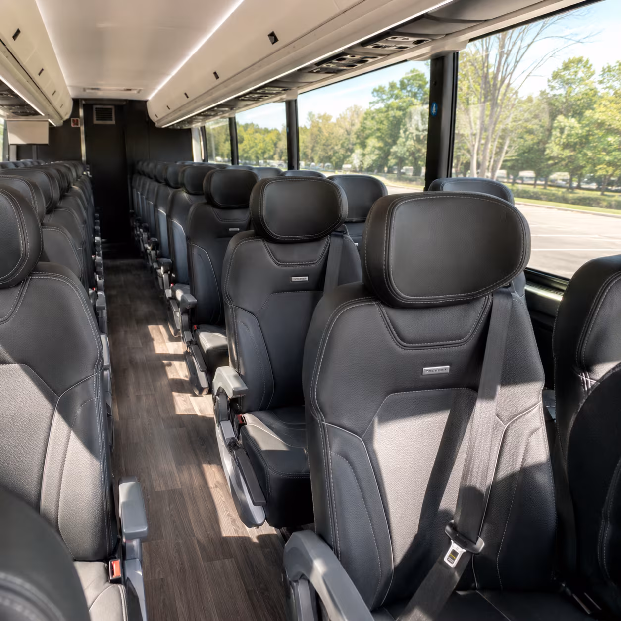 find transportation for your next bachelor or bachelorette party 3